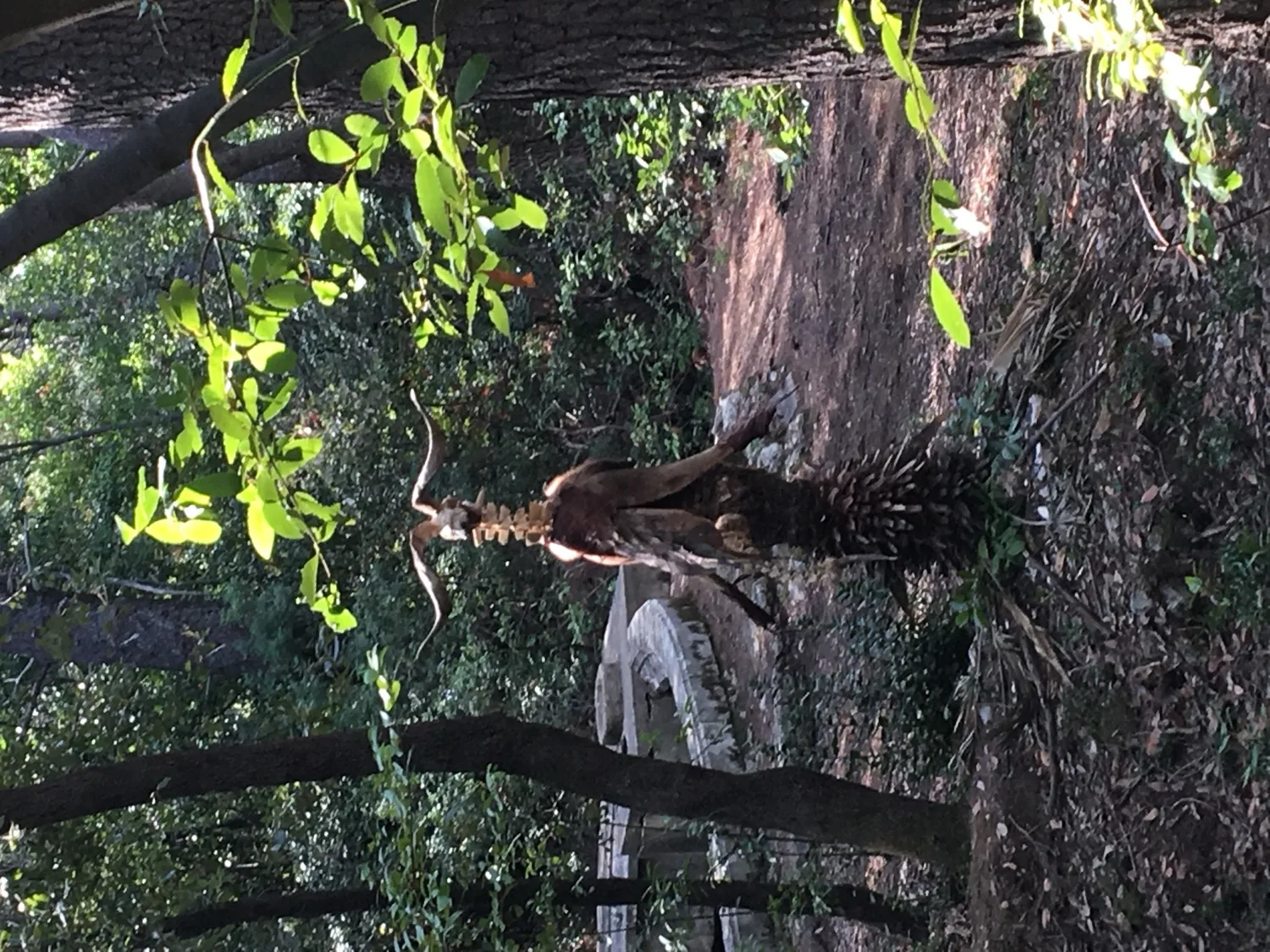 VerdArt Park